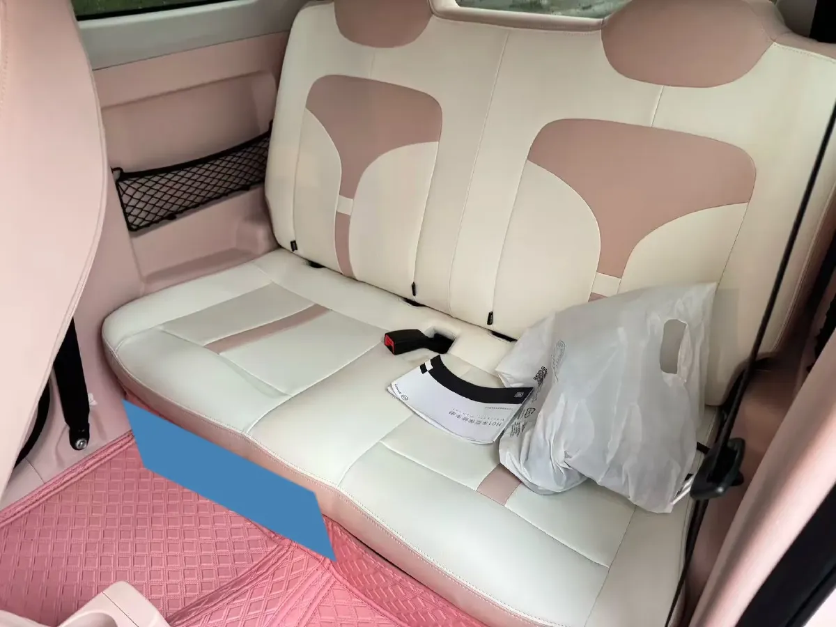 2024 ZD Rainbow BEV 17.3KWH,autocango,china used car exporter,china ev exporter,chinese used car exporter,chinese used ev exporter