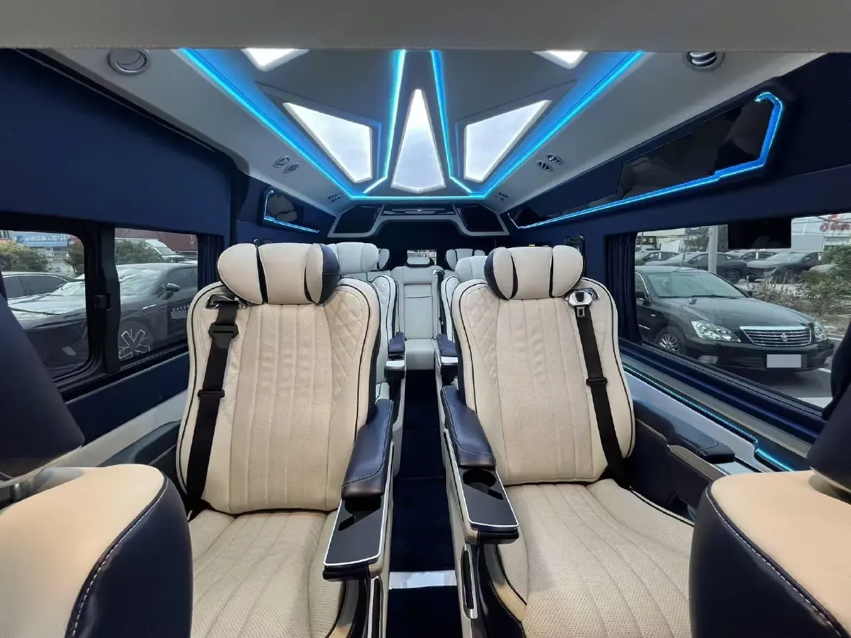 2019 Golden Dragon Sea Lion BEV 51.67KWH,autocango,china used car exporter,china ev exporter,chinese used car exporter,chinese used ev exporter