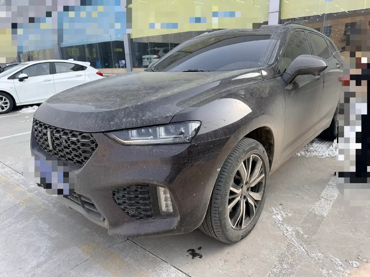 2019 WEY VV7 2.0T 227HP L4 7DCT