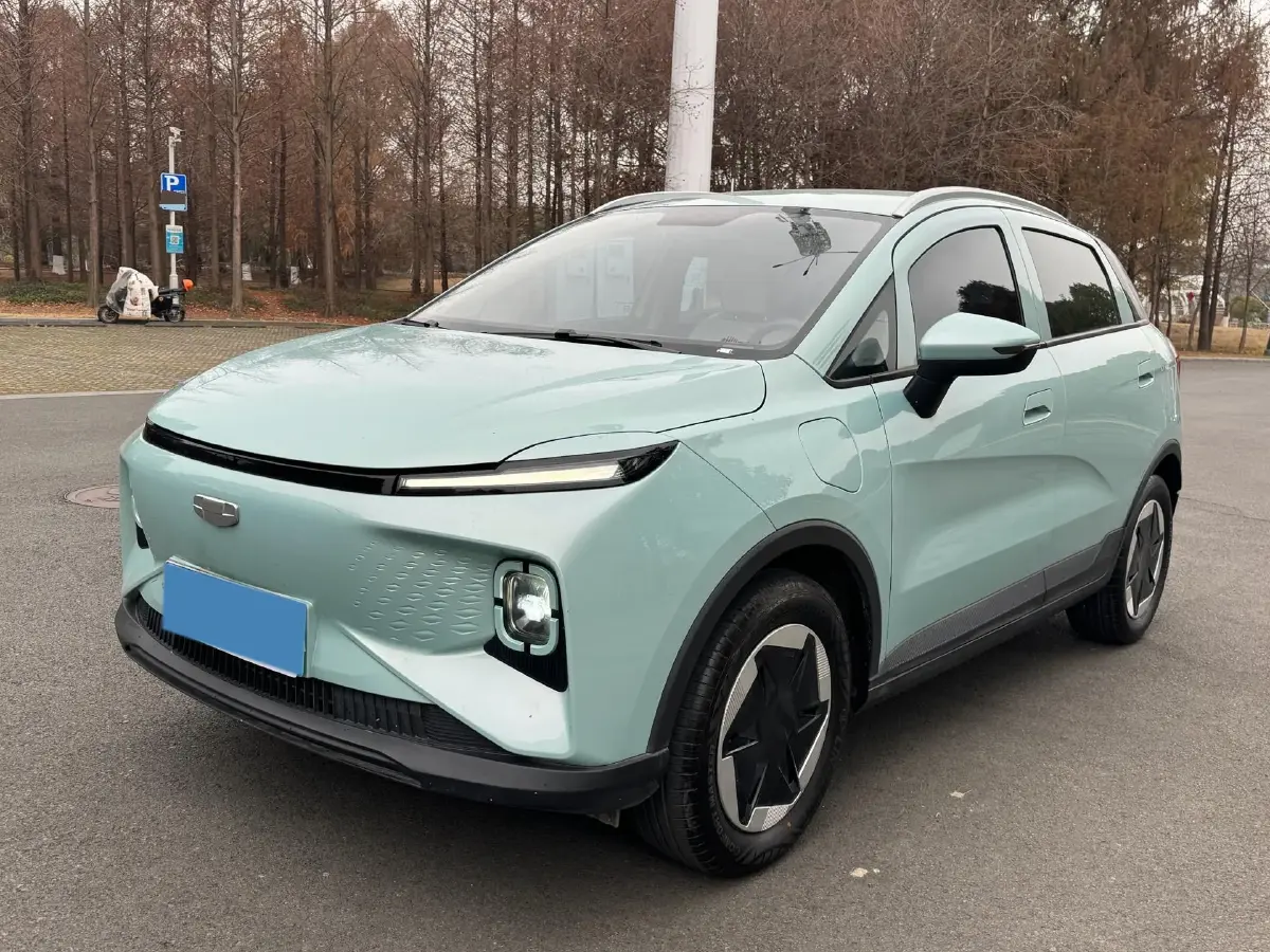 2024 Geometry E BEV 29.67KWH