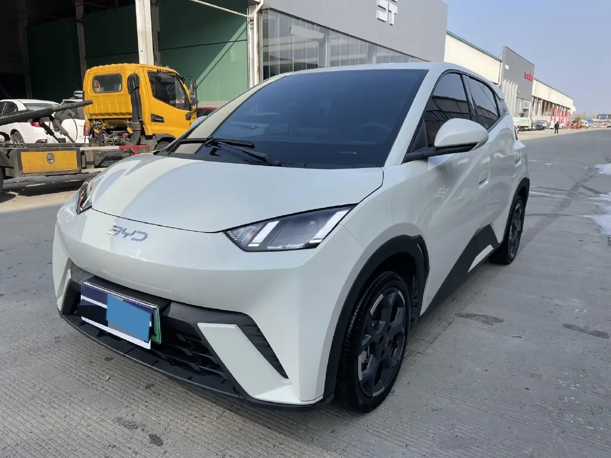 2025 BYD Seagull BEV 30.08KWH