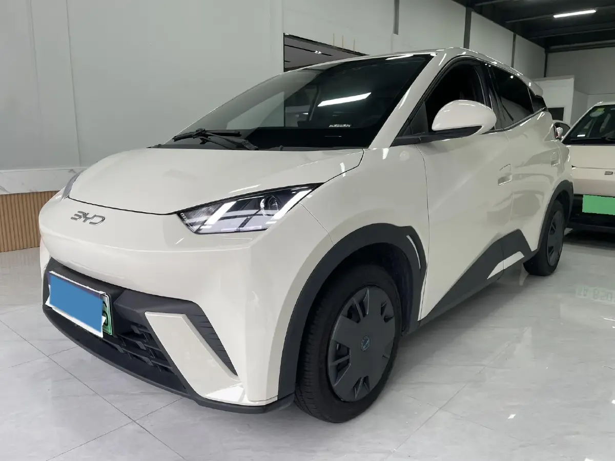 2024 BYD Seagull BEV 30.08KWH