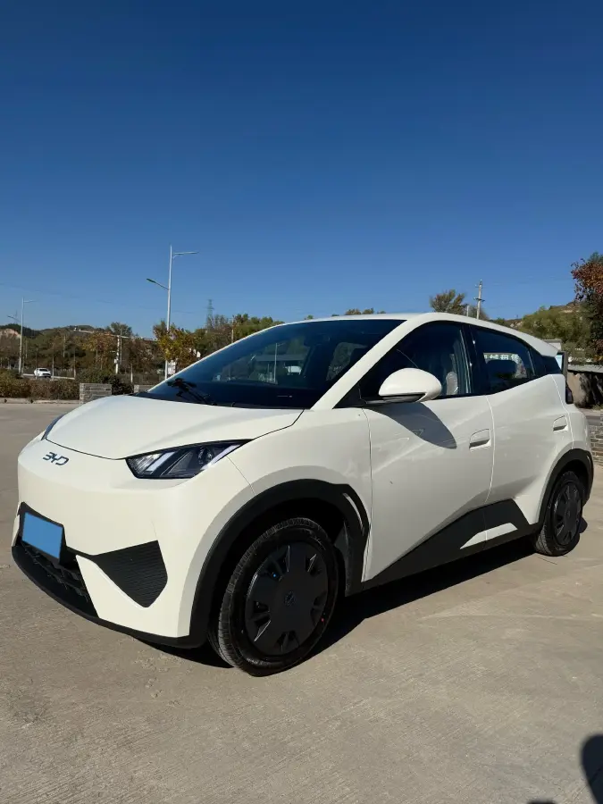 2025 BYD Seagull BEV 30.08KWH