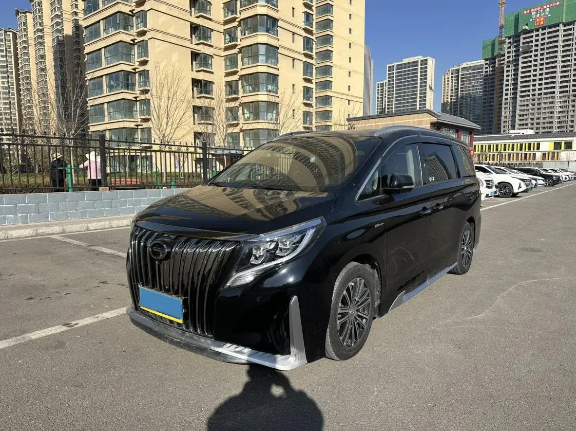 2021 GAC Trumpchi M8 2.0T 252HP L4 8AT