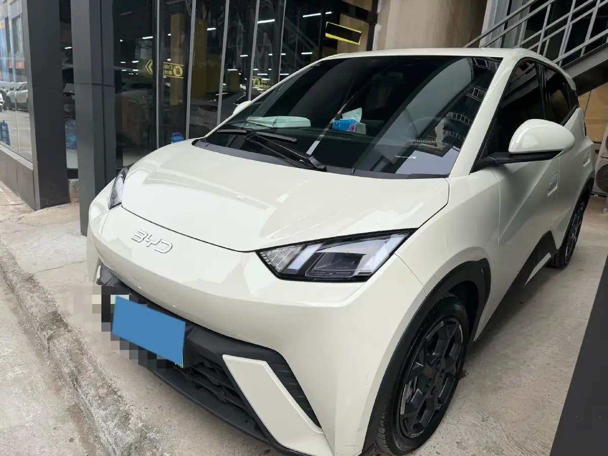 2025 BYD Seagull BEV 30.08KWH