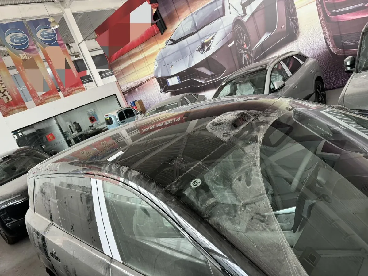 2025 Denza DenzaN8L 2.0T 207HP L4 E-CVT PHEV,autocango,china used car exporter,china ev exporter,chinese used car exporter,chinese used ev exporter