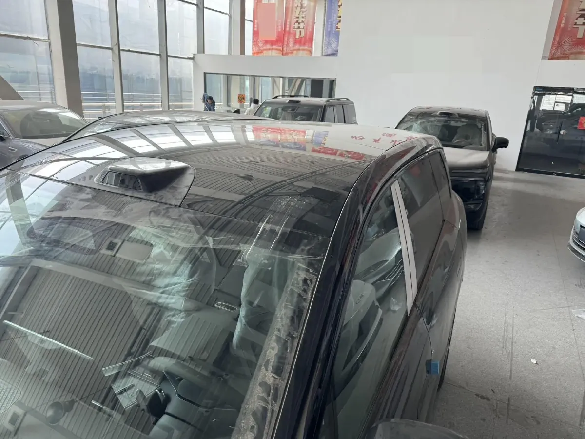 2025 Denza DenzaN8L 2.0T 207HP L4 E-CVT PHEV,autocango,china used car exporter,china ev exporter,chinese used car exporter,chinese used ev exporter