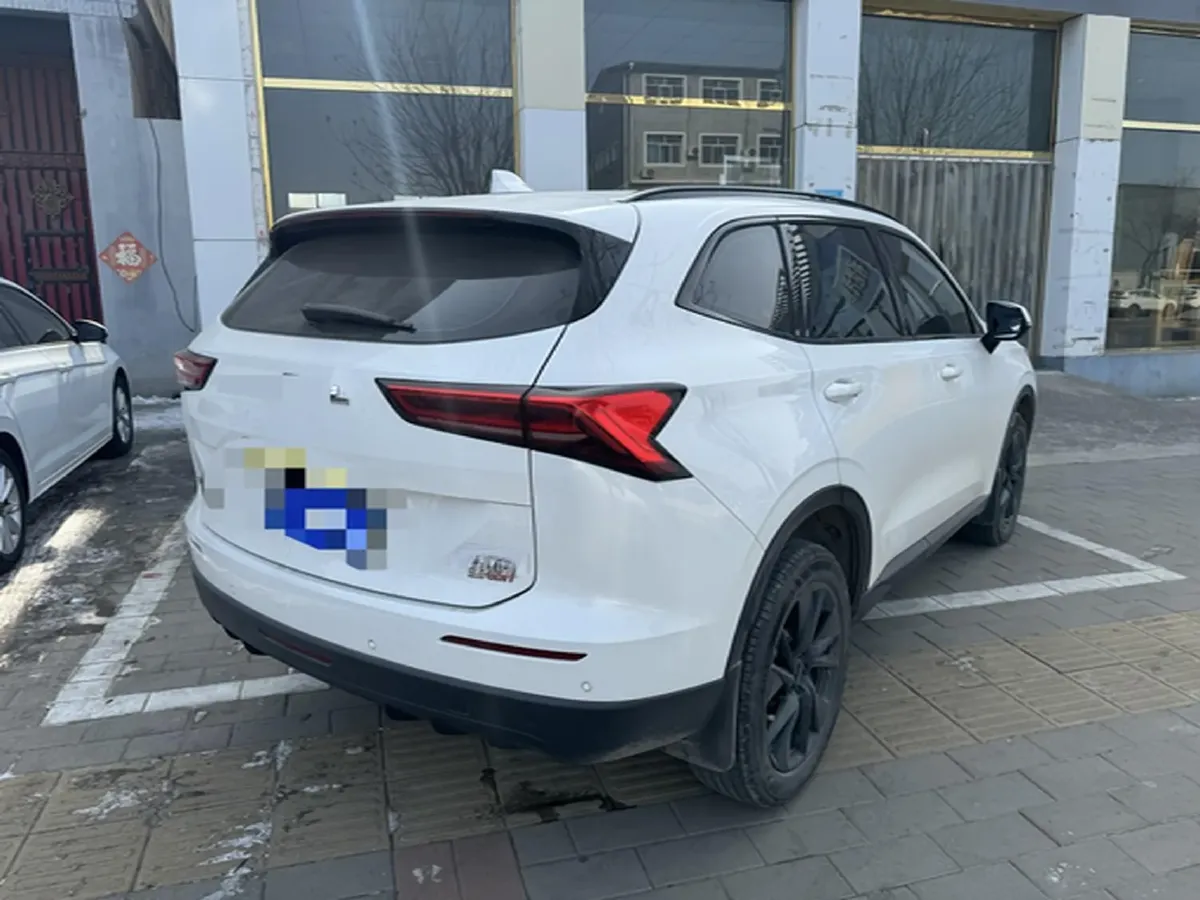 2024 Haval H6 2.0T 238HP L4 9DCT,autocango,china used car exporter,china ev exporter,chinese used car exporter,chinese used ev exporter