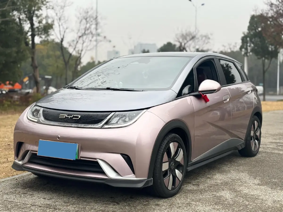 2023 BYD Dolphin BEV 44.928KWH