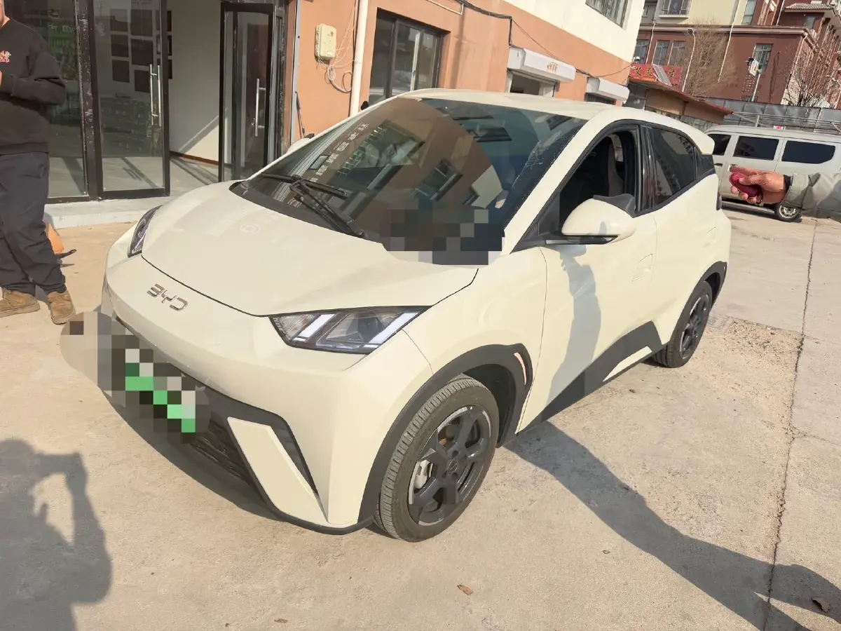 2024 BYD Seagull BEV 38.88KWH