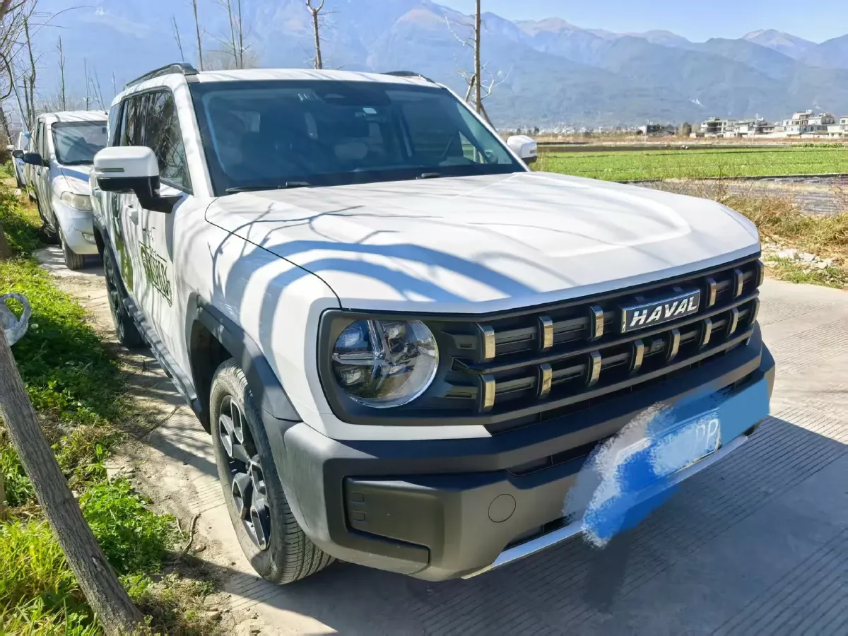 2022 Haval X Dog 1.5T 184HP L4 7DCT,autocango,china used car exporter,china ev exporter,chinese used car exporter,chinese used ev exporter