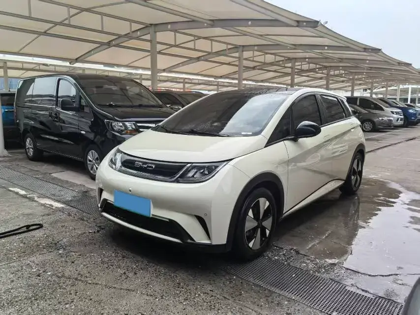 2023 BYD Dolphin BEV 44.928KWH
