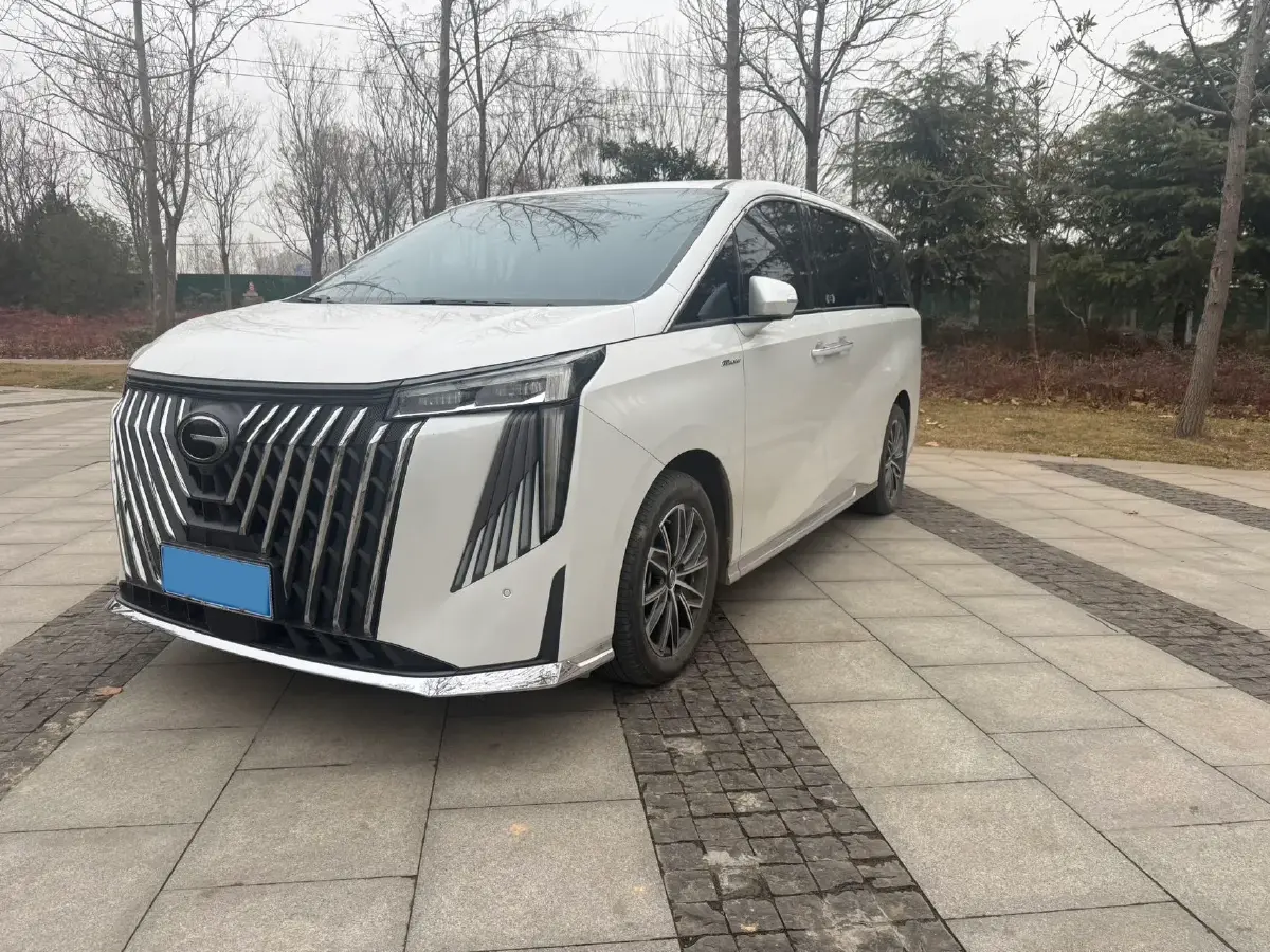 2024 GAC Trumpchi M8 2.0T 252HP L4 8AT