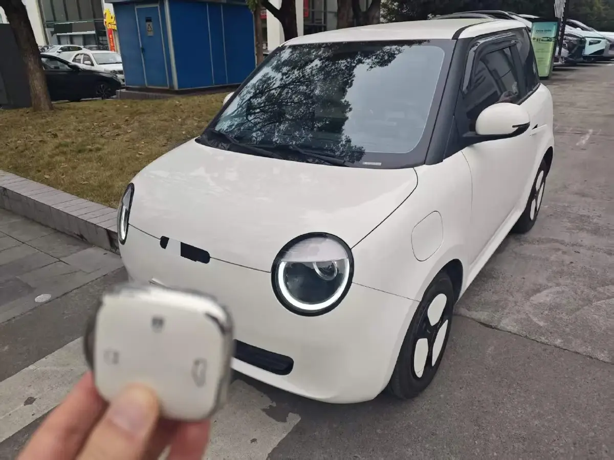 2023 ChangAn QiYuan Lumin BEV 17.65KWH