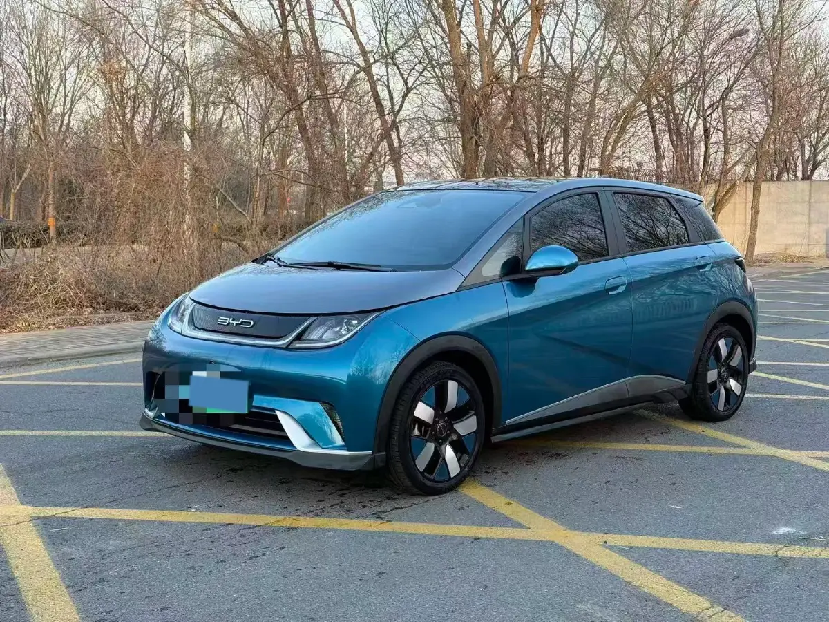 2021 BYD e2 BEV 43.2KWH