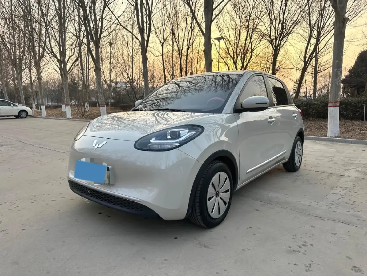 2023 WuLing BinGuo BEV 17.3KWH