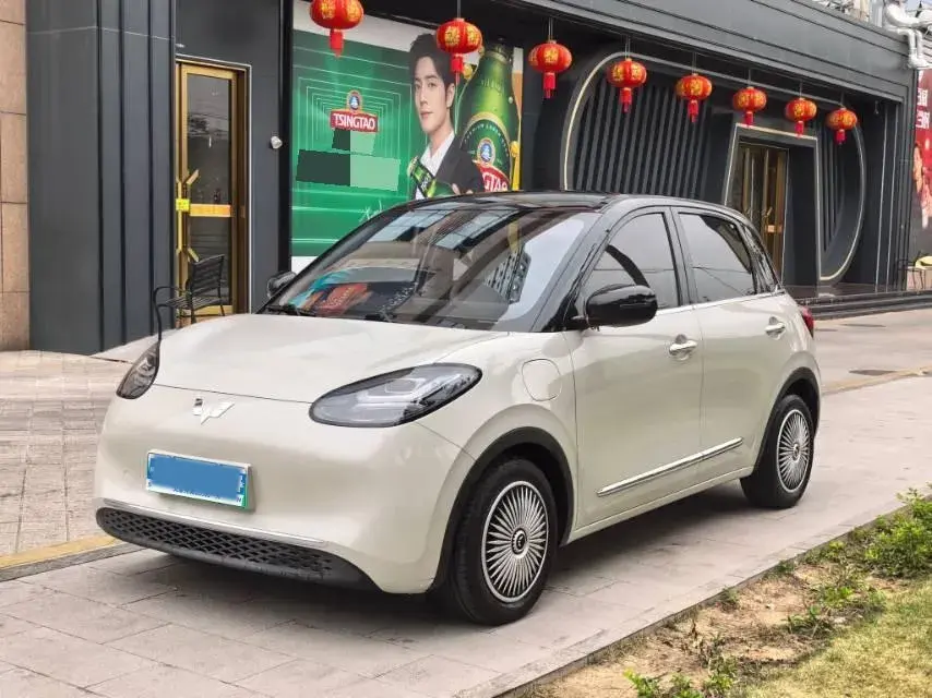 2023 WuLing BinGuo BEV 31.9KWH