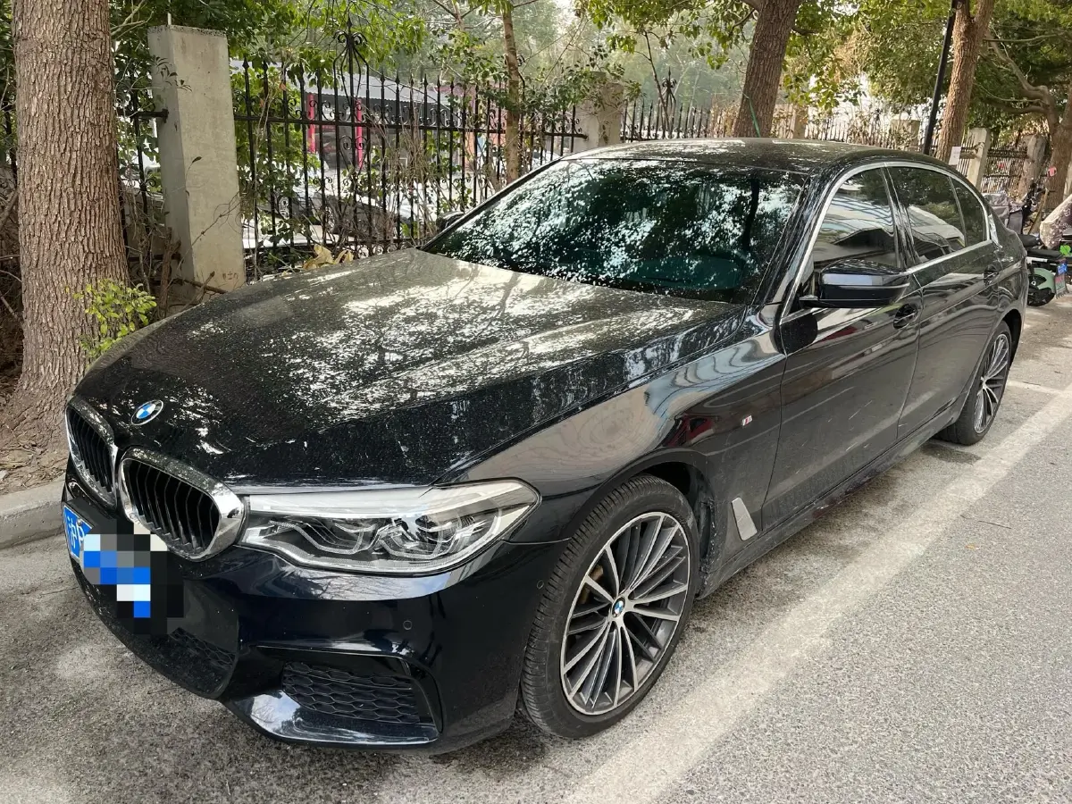 2020 BMW 5 Series 2.0T 252HP L4 8AT