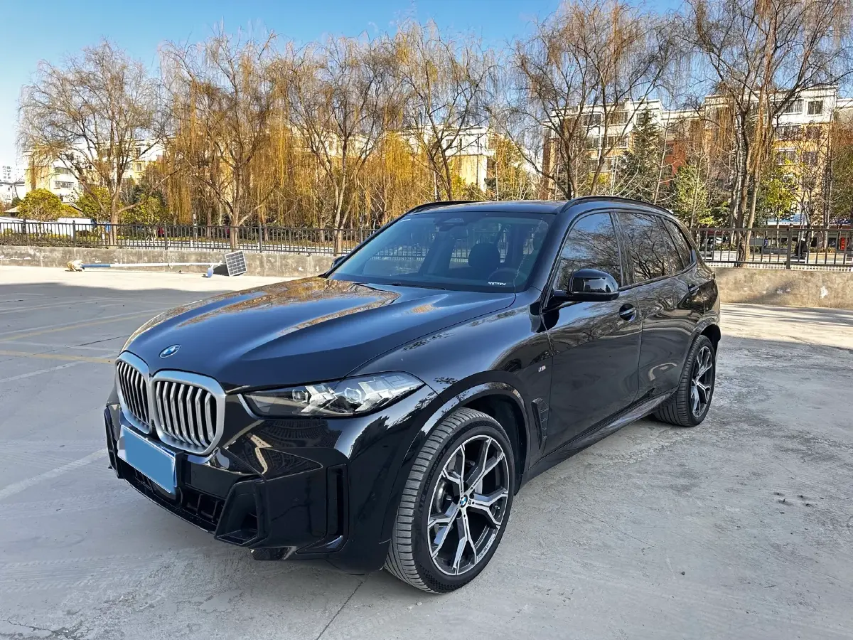 2025 BMW X5 2.0T 258HP L4 8AT