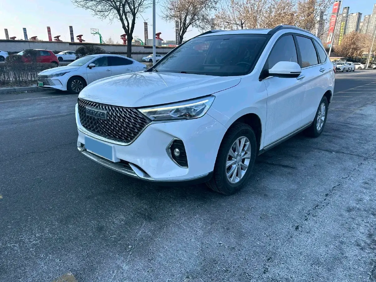 2022 Chery Little Ant BEV 40.6KWH