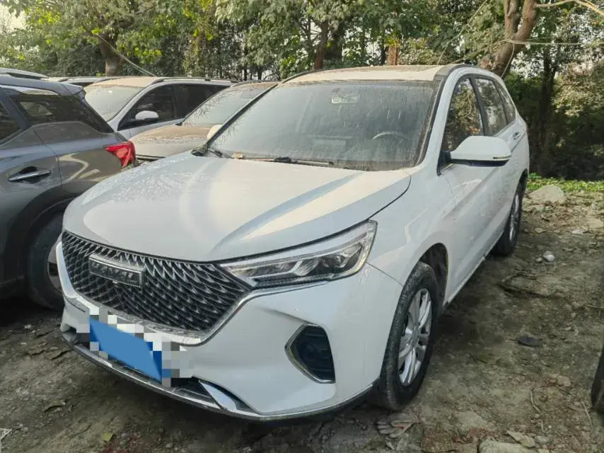 2022 Chery Little Ant BEV 40.6KWH