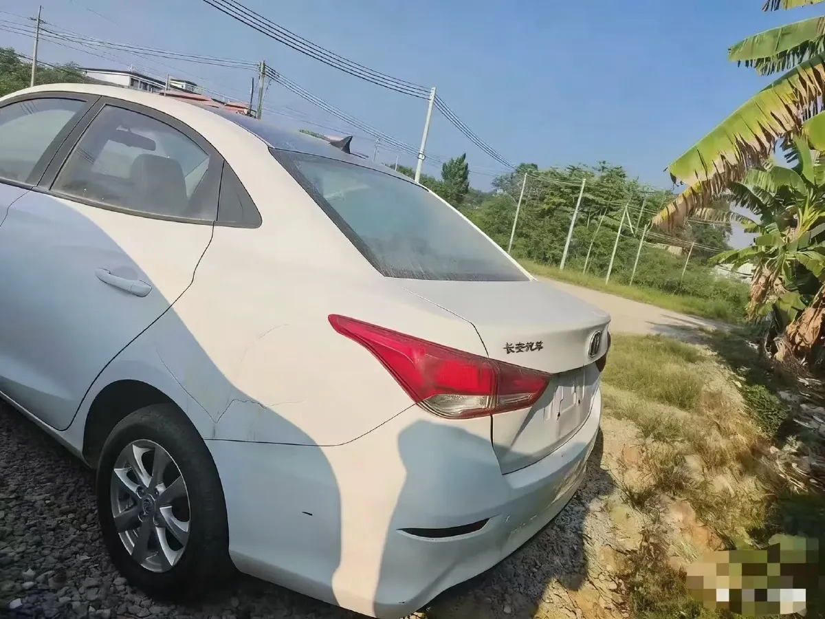 2019 ChangAn Alsvin 1.5L 107HP L4 5DCT,autocango,china used car exporter,china ev exporter,chinese used car exporter,chinese used ev exporter