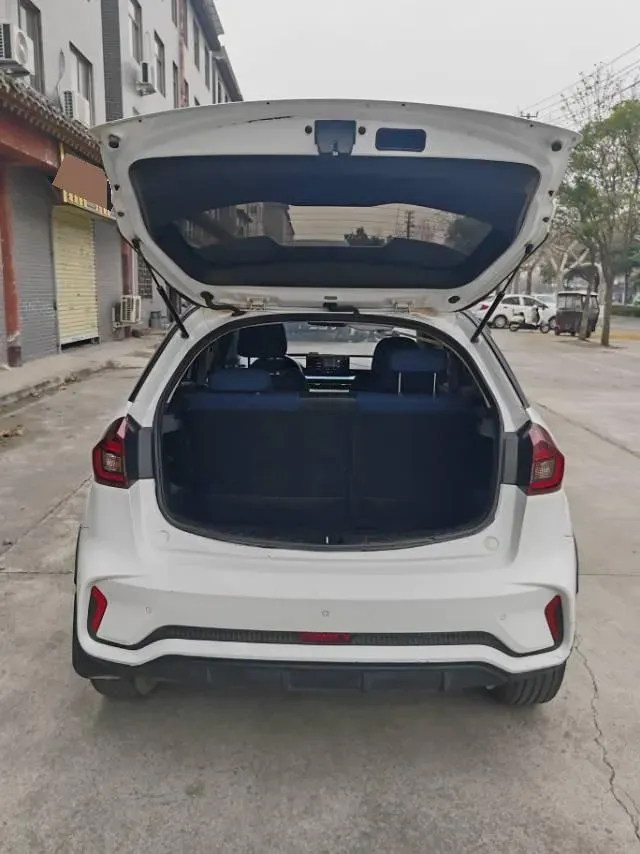 2021 Geometry EX3 BEV 37.23KWH,autocango,china used car exporter,china ev exporter,chinese used car exporter,chinese used ev exporter