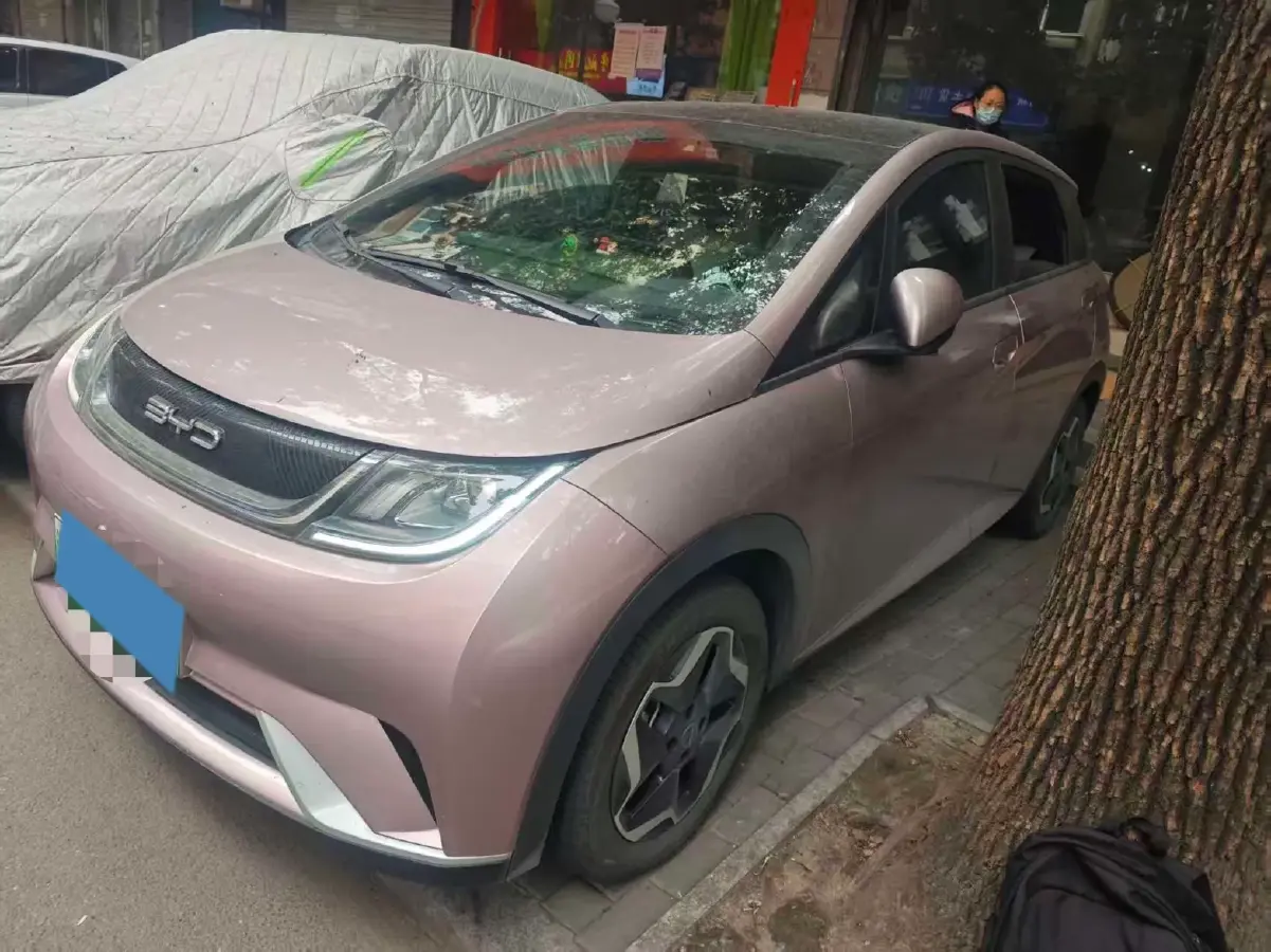 2021 BYD Yuan Pro BEV 50.1KWH