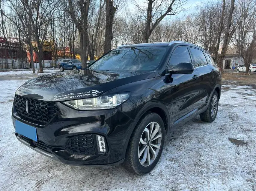 2018 WEY VV6 2.0T 197HP L4 7DCT