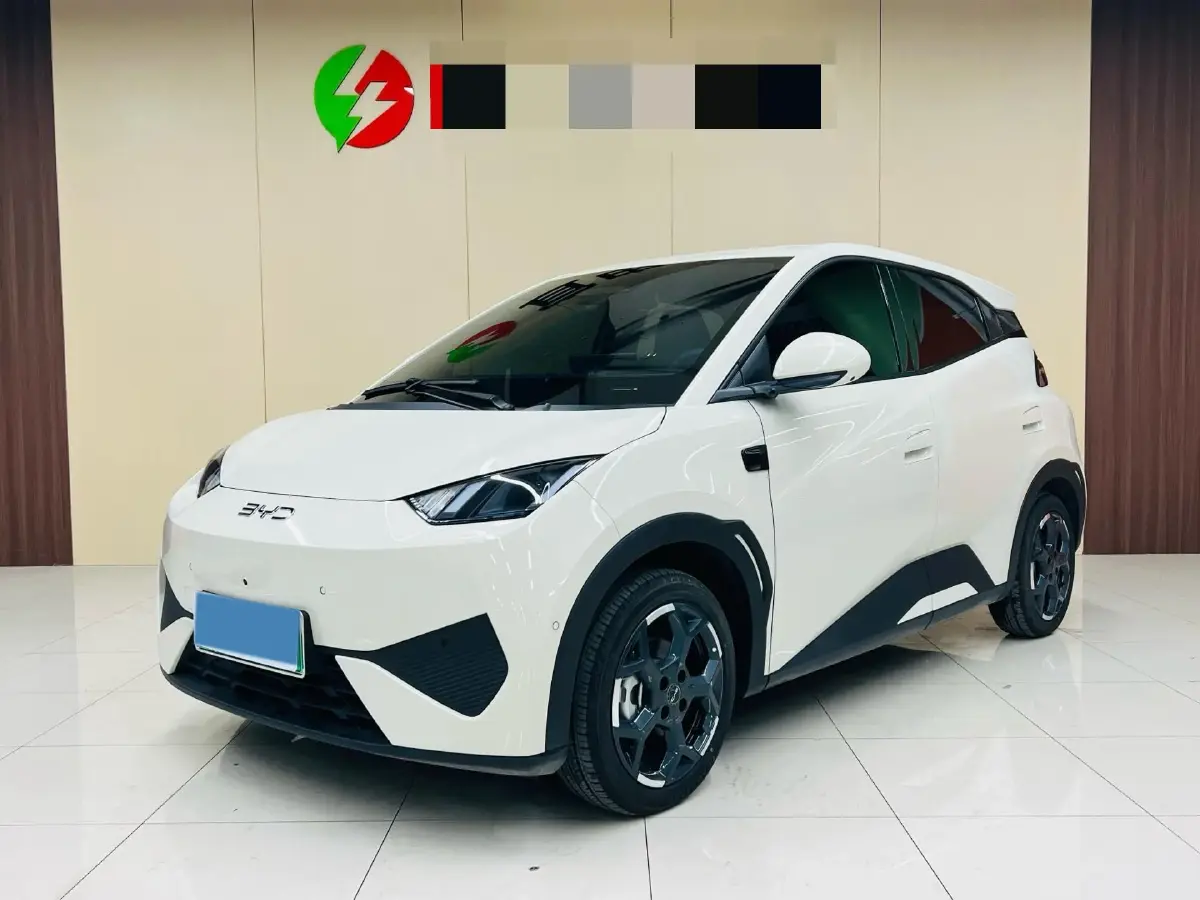 2025 BYD Seagull BEV 30.08KWH