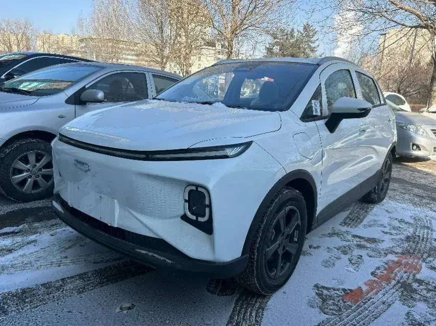 2024 Geometry E BEV 39.3KWH