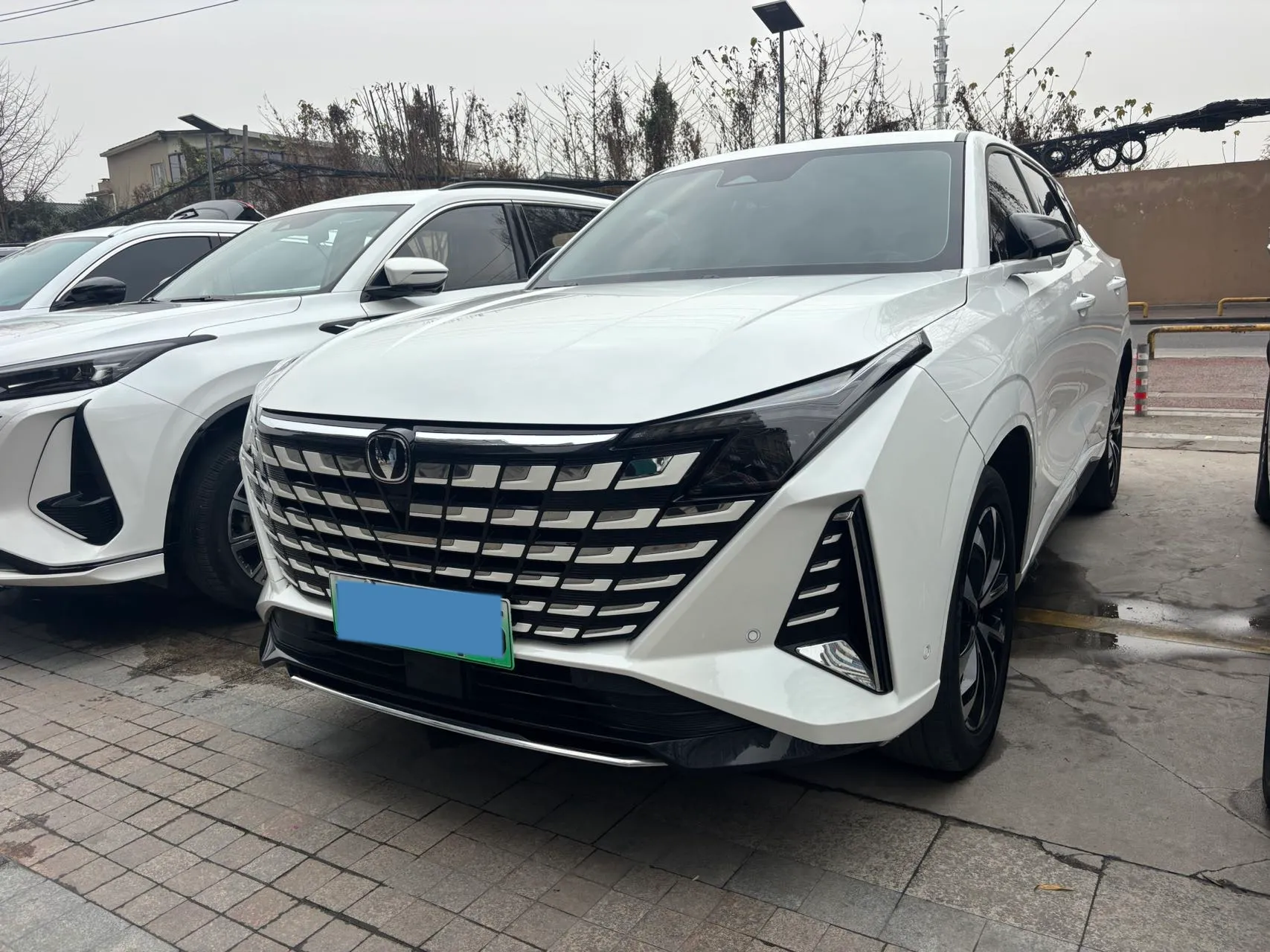 autocango,china used car exporter,china ev exporter,chinese used car exporter,chinese used ev exporter