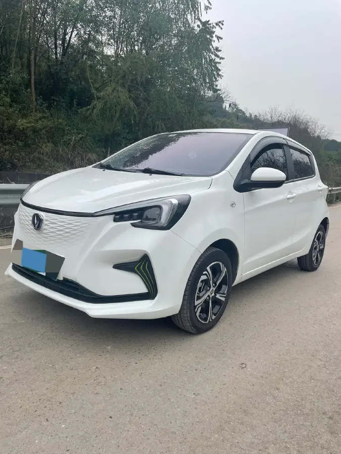 2022 ChangAn BenBen E-Star BEV 32.2KWH