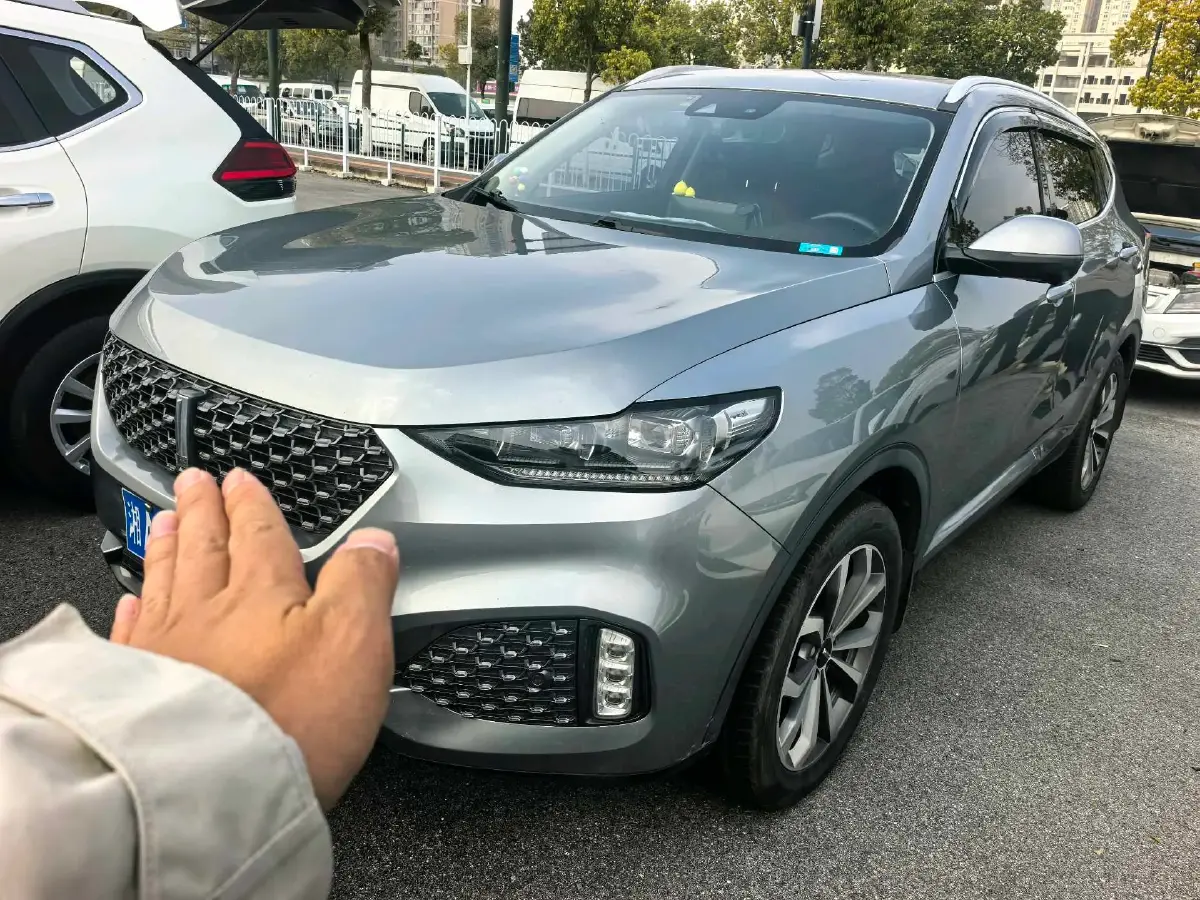 2020 WEY VV6 2.0T 227HP L4 7DCT