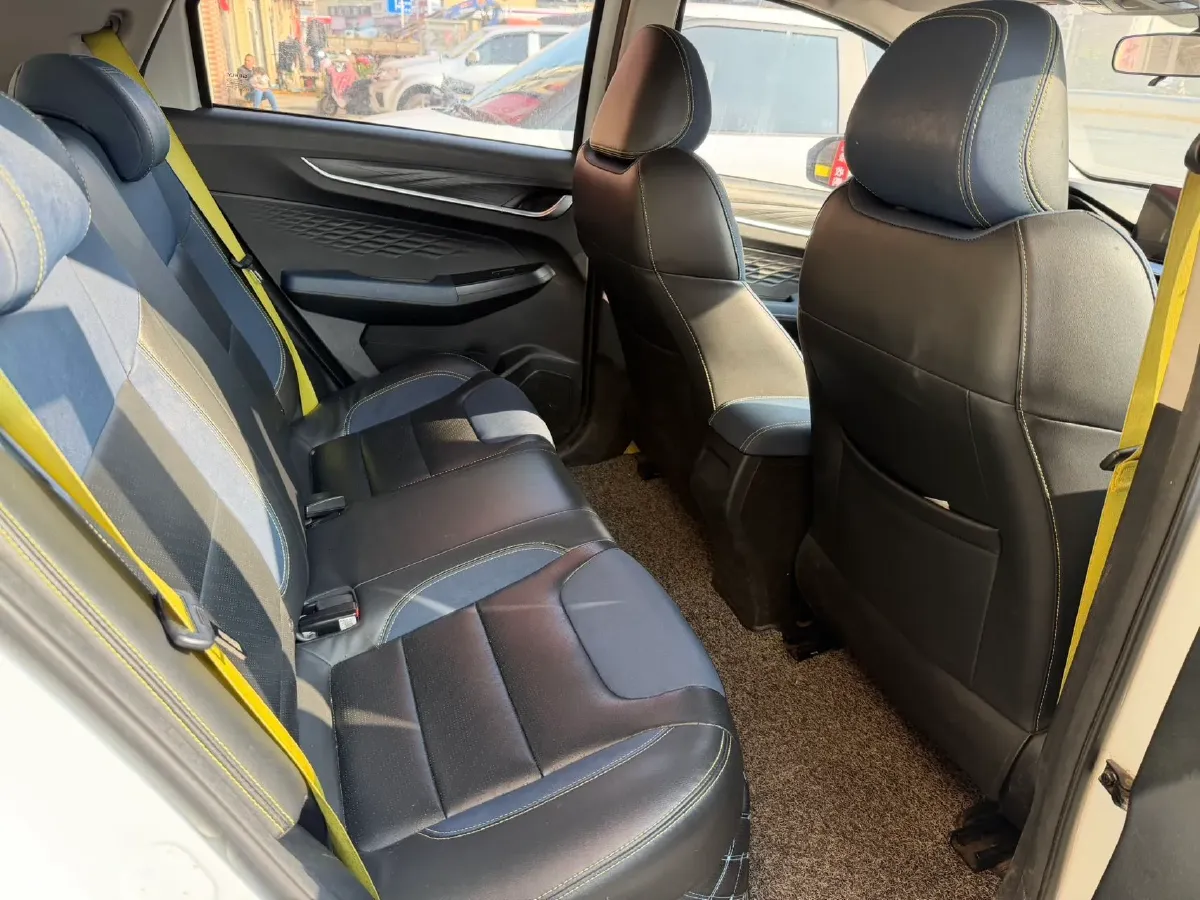 2021 Geometry EX3 BEV 37.23KWH,autocango,china used car exporter,china ev exporter,chinese used car exporter,chinese used ev exporter