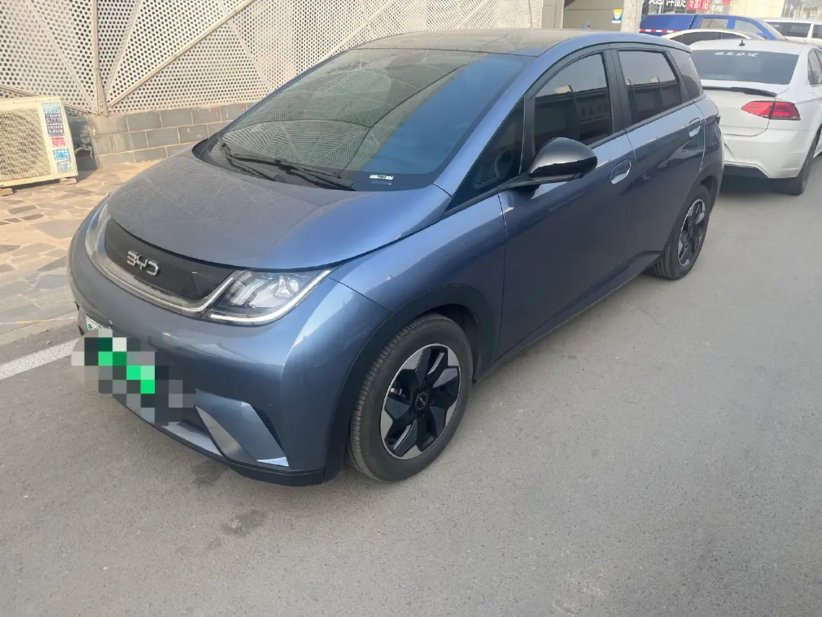 2024 BYD Dolphin BEV 44.928KWH