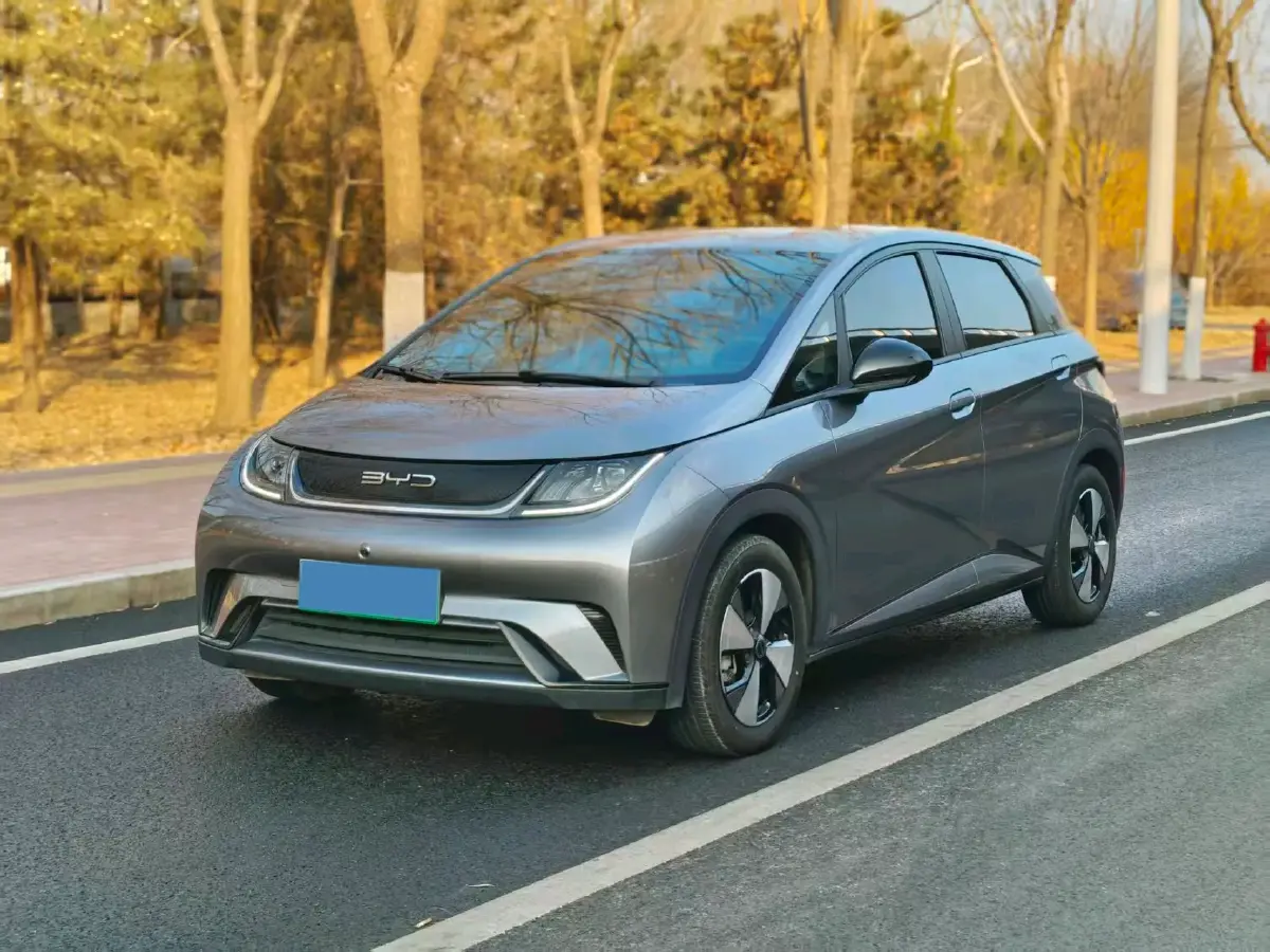 2023 BYD Dolphin BEV 44.928KWH