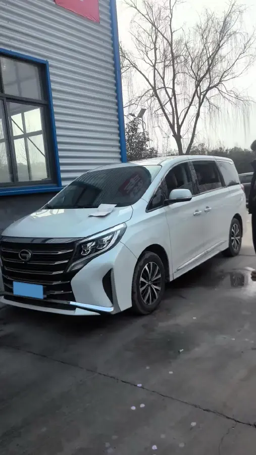 2024 GAC Trumpchi M8 2.0T 252HP L4 8AT