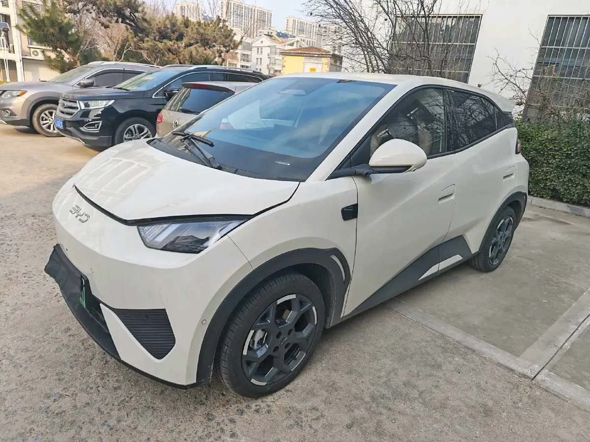2025 BYD Seagull BEV 30.08KWH