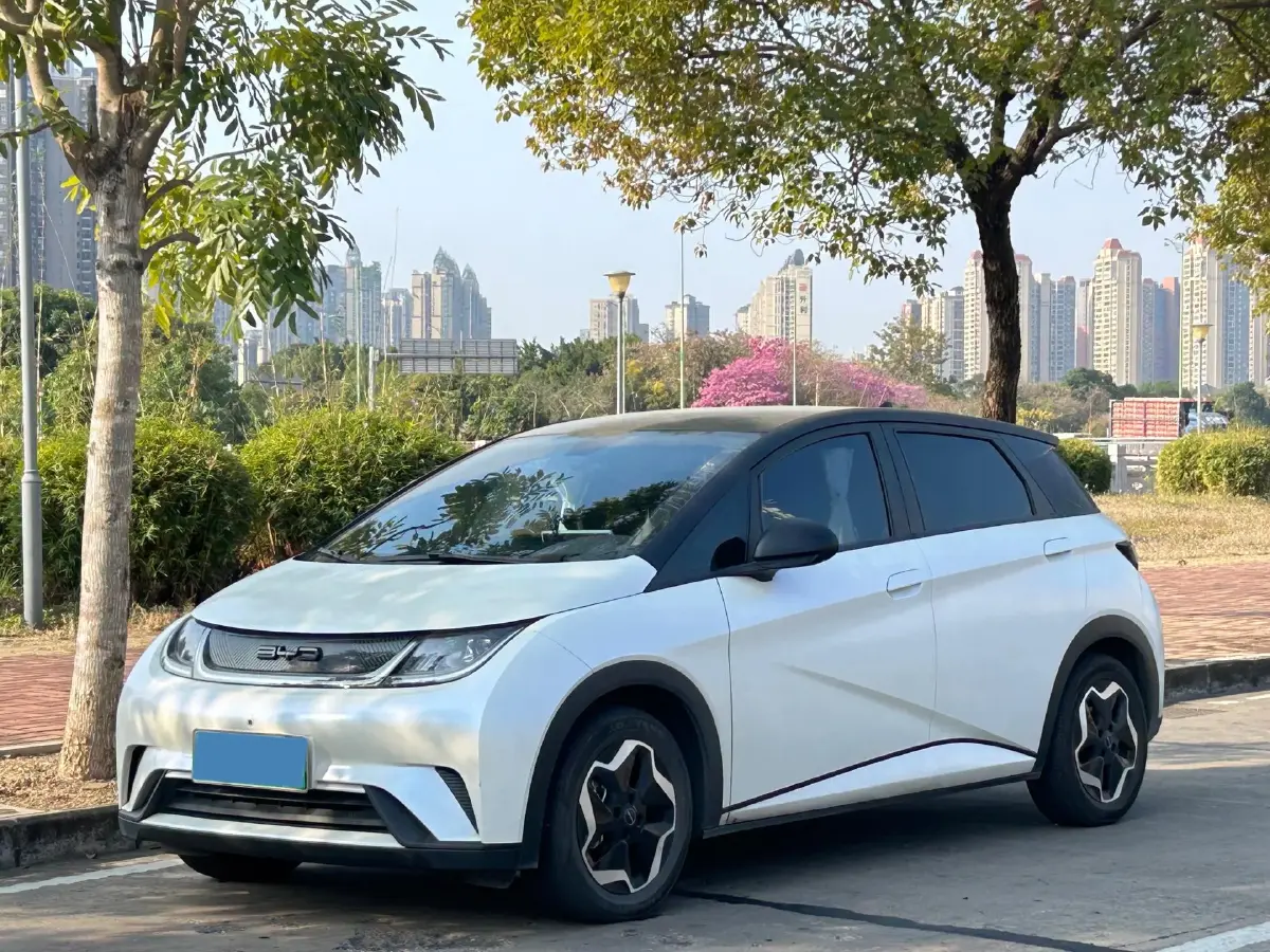 2021 BYD Yuan Pro BEV 50.1KWH