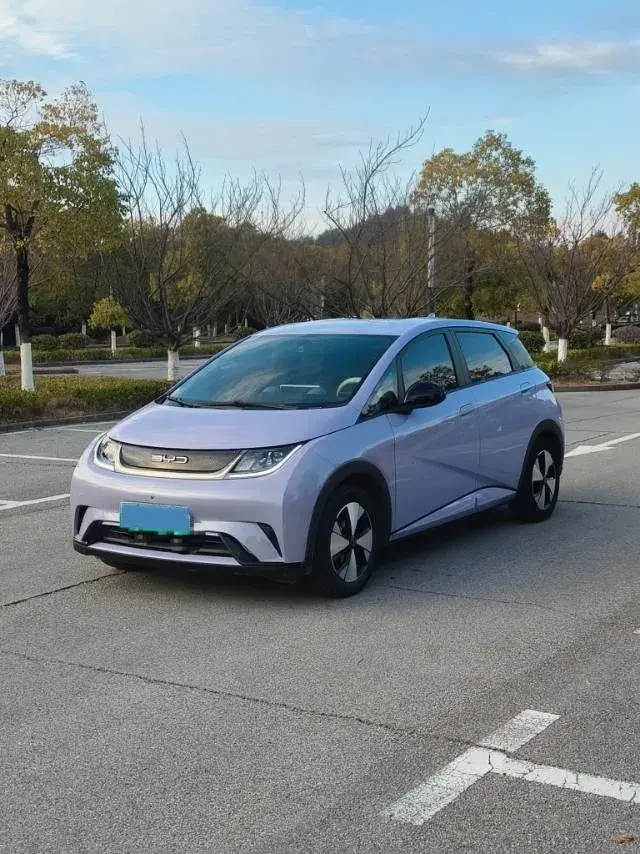 2023 BYD Dolphin BEV 44.928KWH