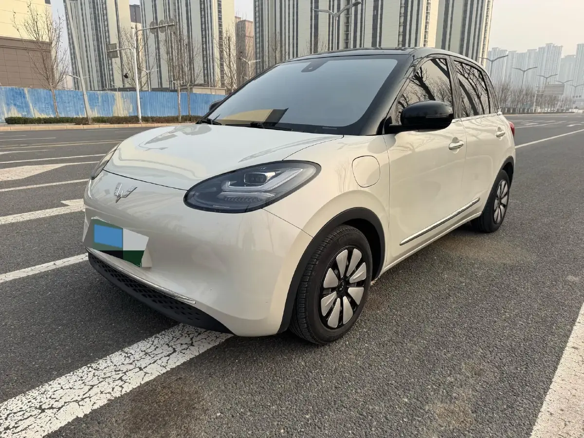 2023 WuLing BinGuo BEV 31.9KWH