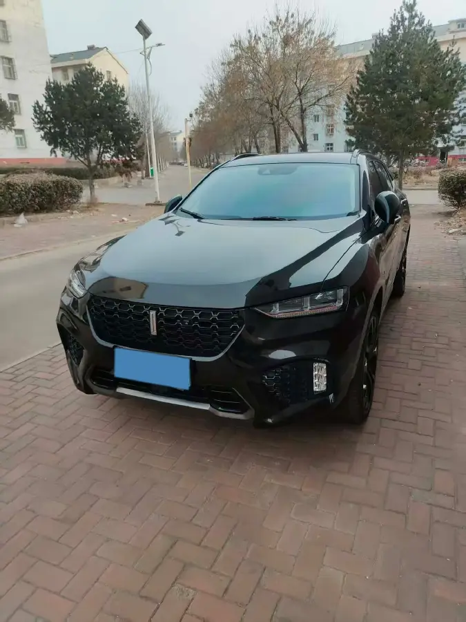 2019 WEY VV7 2.0T 227HP L4 7DCT