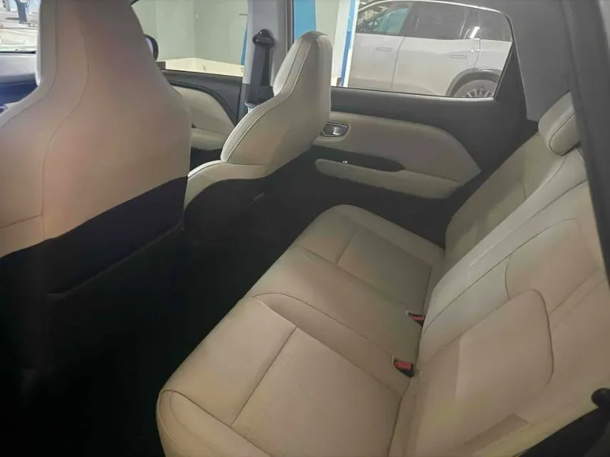 2024 WuLing BinGuoPLUS BEV 50.6KWH,autocango,china used car exporter,china ev exporter,chinese used car exporter,chinese used ev exporter