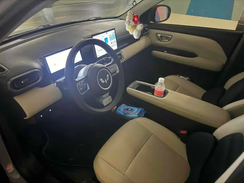 2024 WuLing BinGuoPLUS BEV 50.6KWH,autocango,china used car exporter,china ev exporter,chinese used car exporter,chinese used ev exporter
