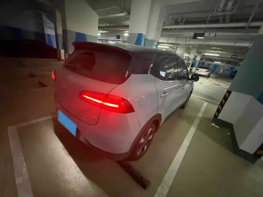 2024 WuLing BinGuoPLUS BEV 50.6KWH,autocango,china used car exporter,china ev exporter,chinese used car exporter,chinese used ev exporter