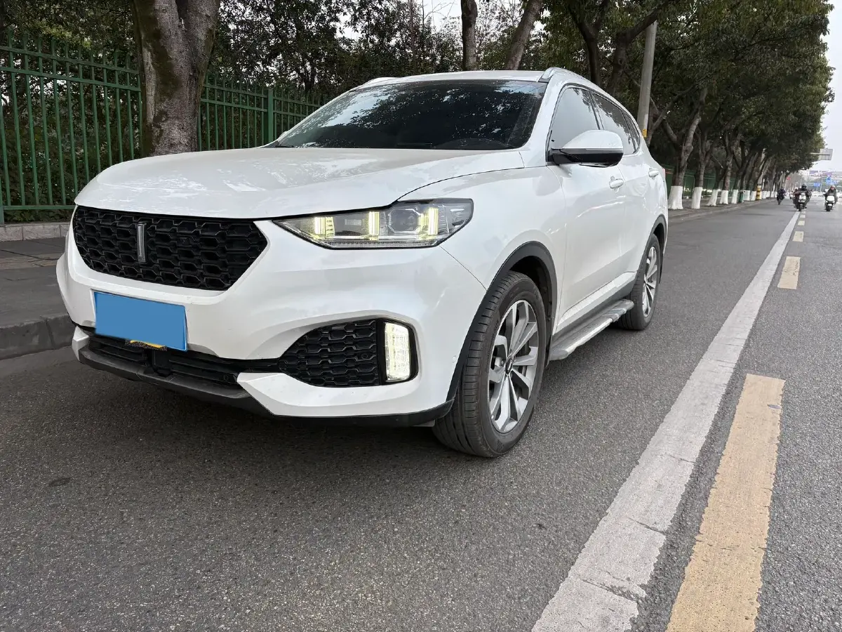 2018 WEY VV6 2.0T 197HP L4 7DCT