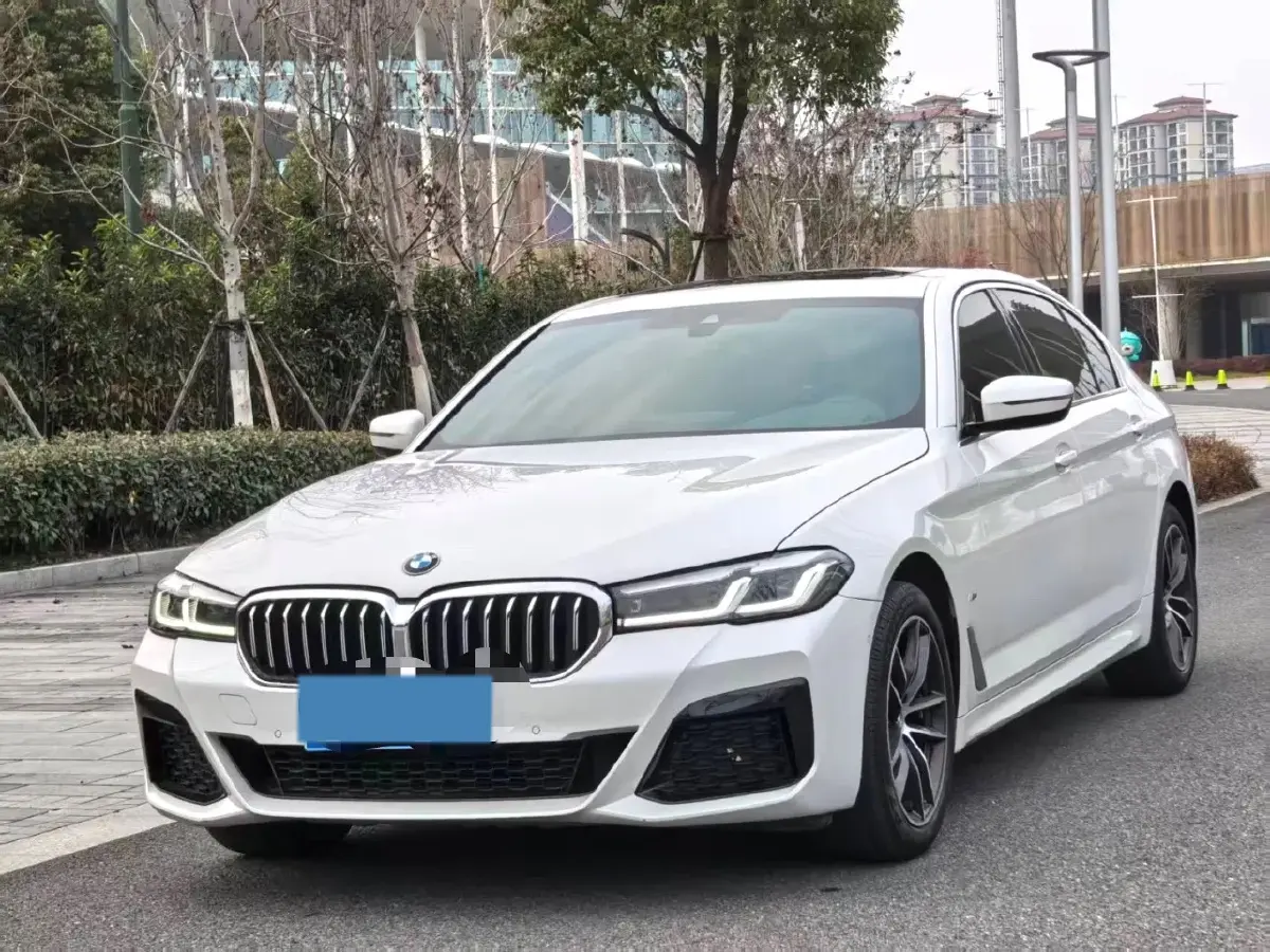 2021 BMW 5 Series 2.0T 184HP L4 8AT