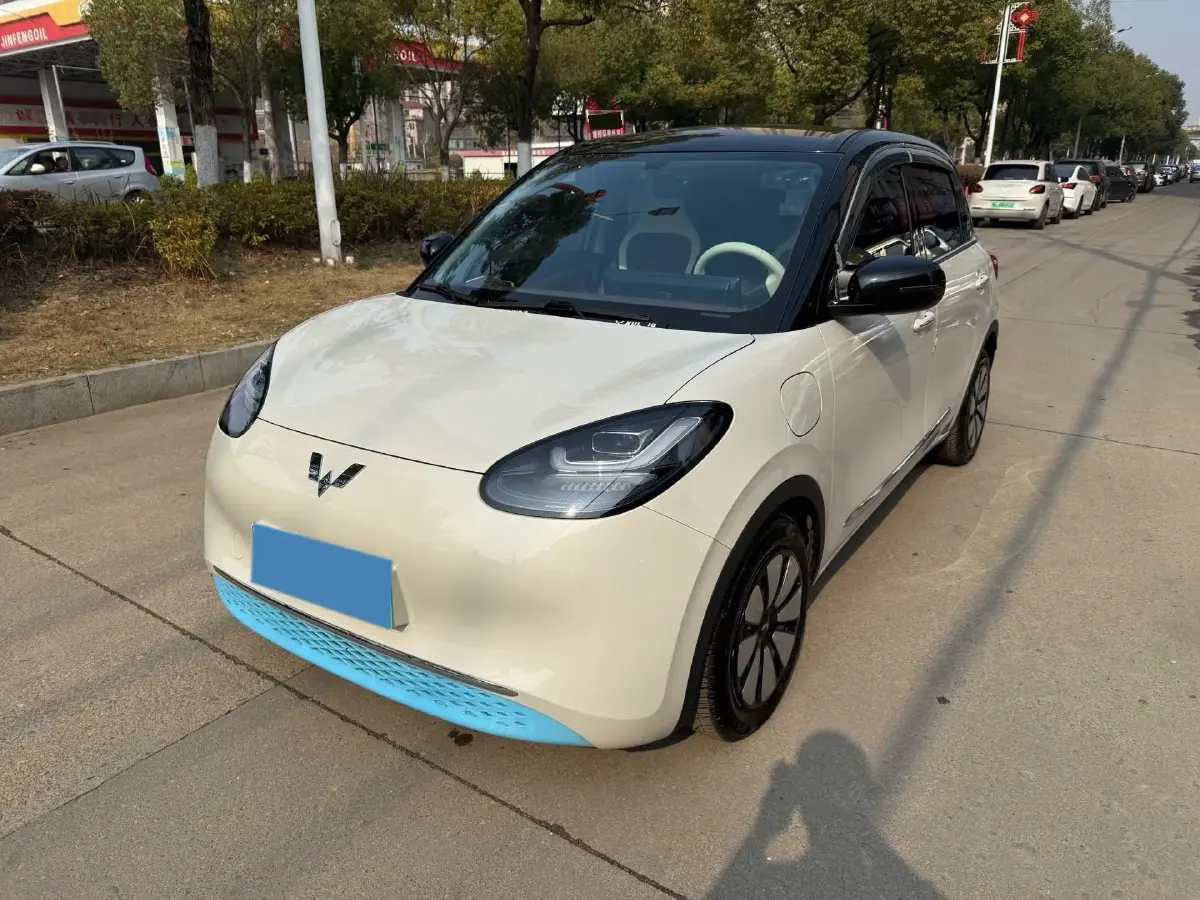 2023 WuLing BinGuo BEV 31.9KWH