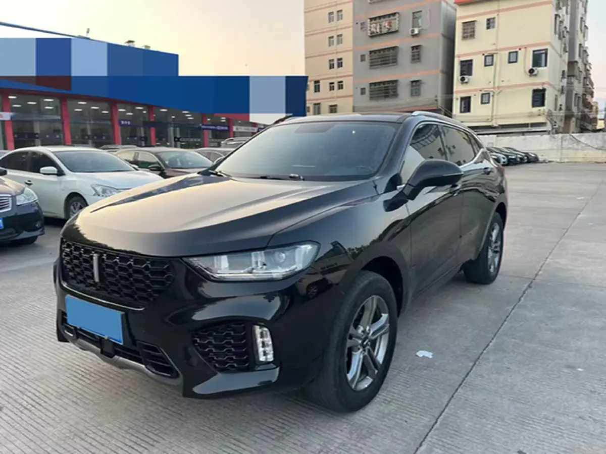 2019 WEY VV5 2.0T 197HP L4 7DCT